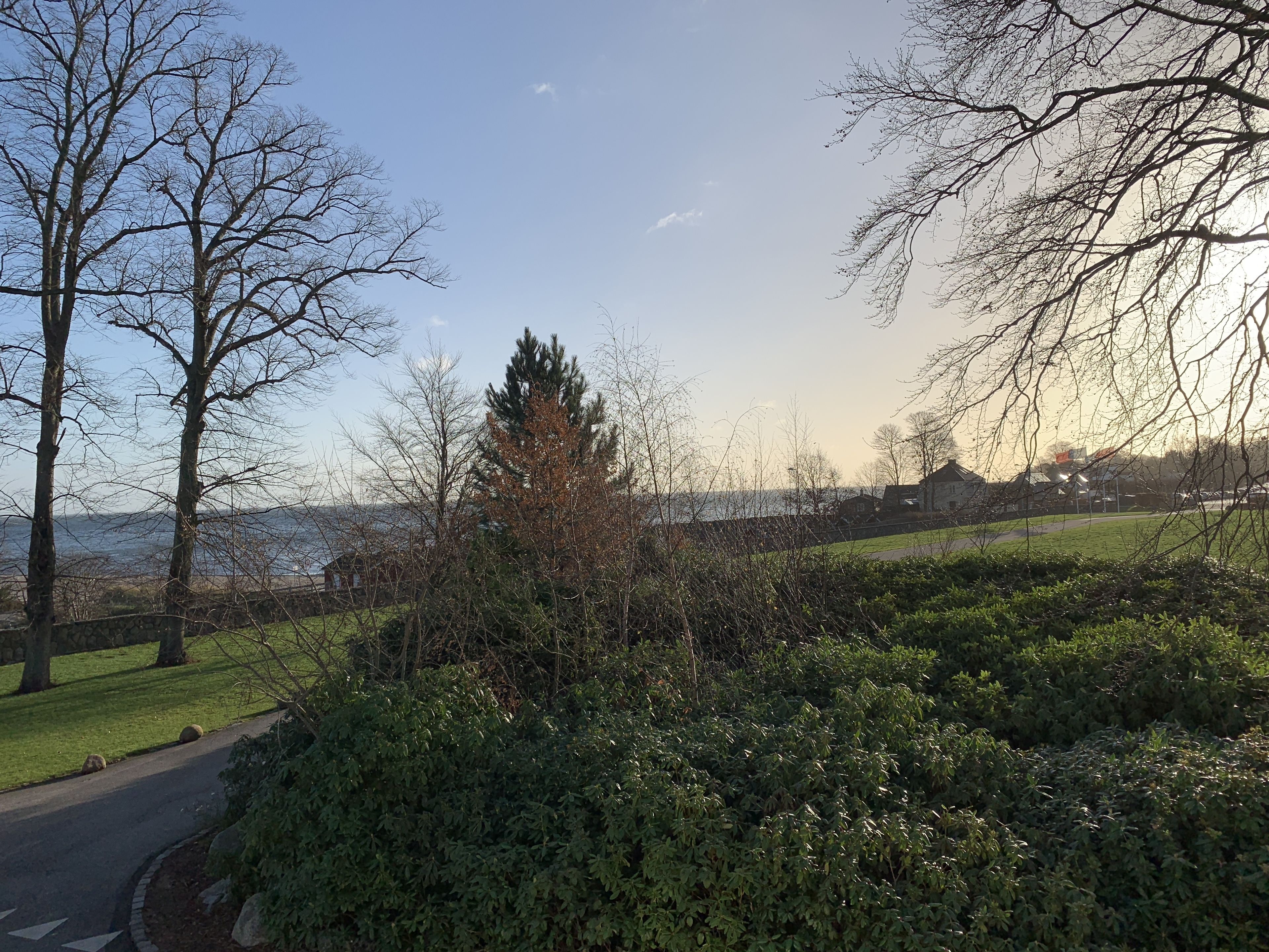 Udsigt over en park med vej, træer og et vandareal i baggrunden.