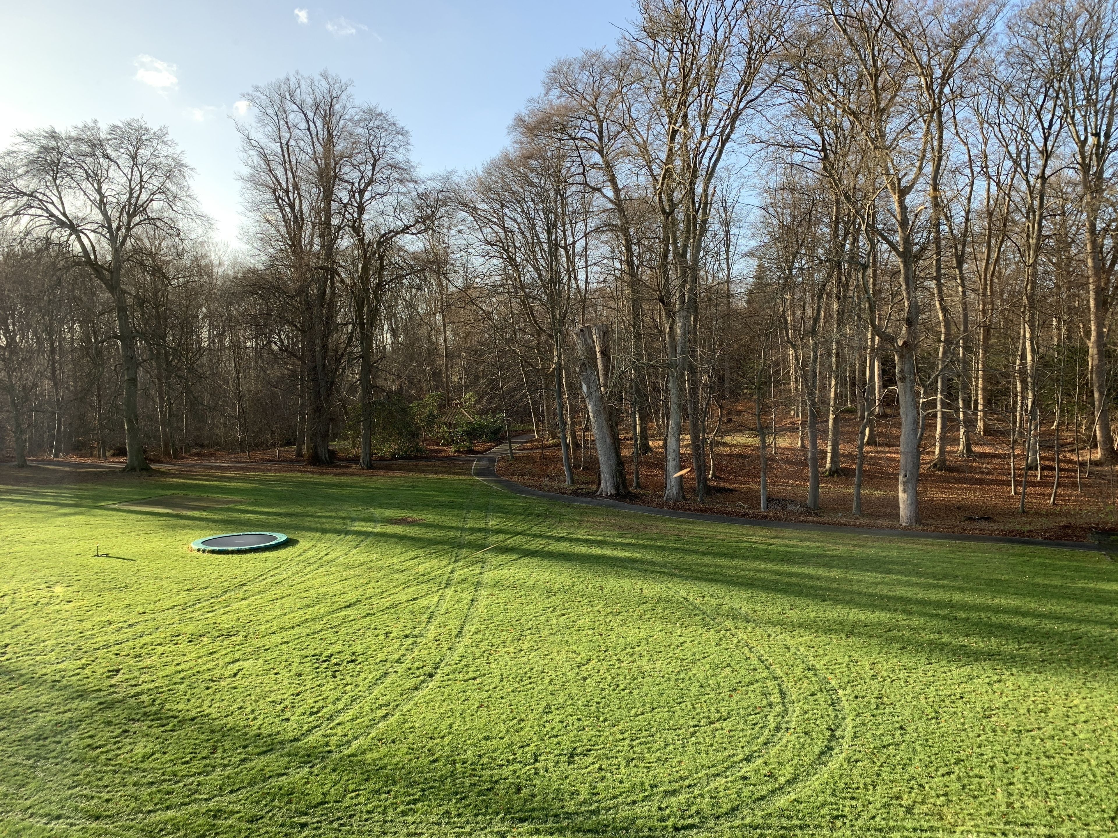 Ein Park mit einer Rasenfläche, einem Weg und kahl stehenden Bäumen.