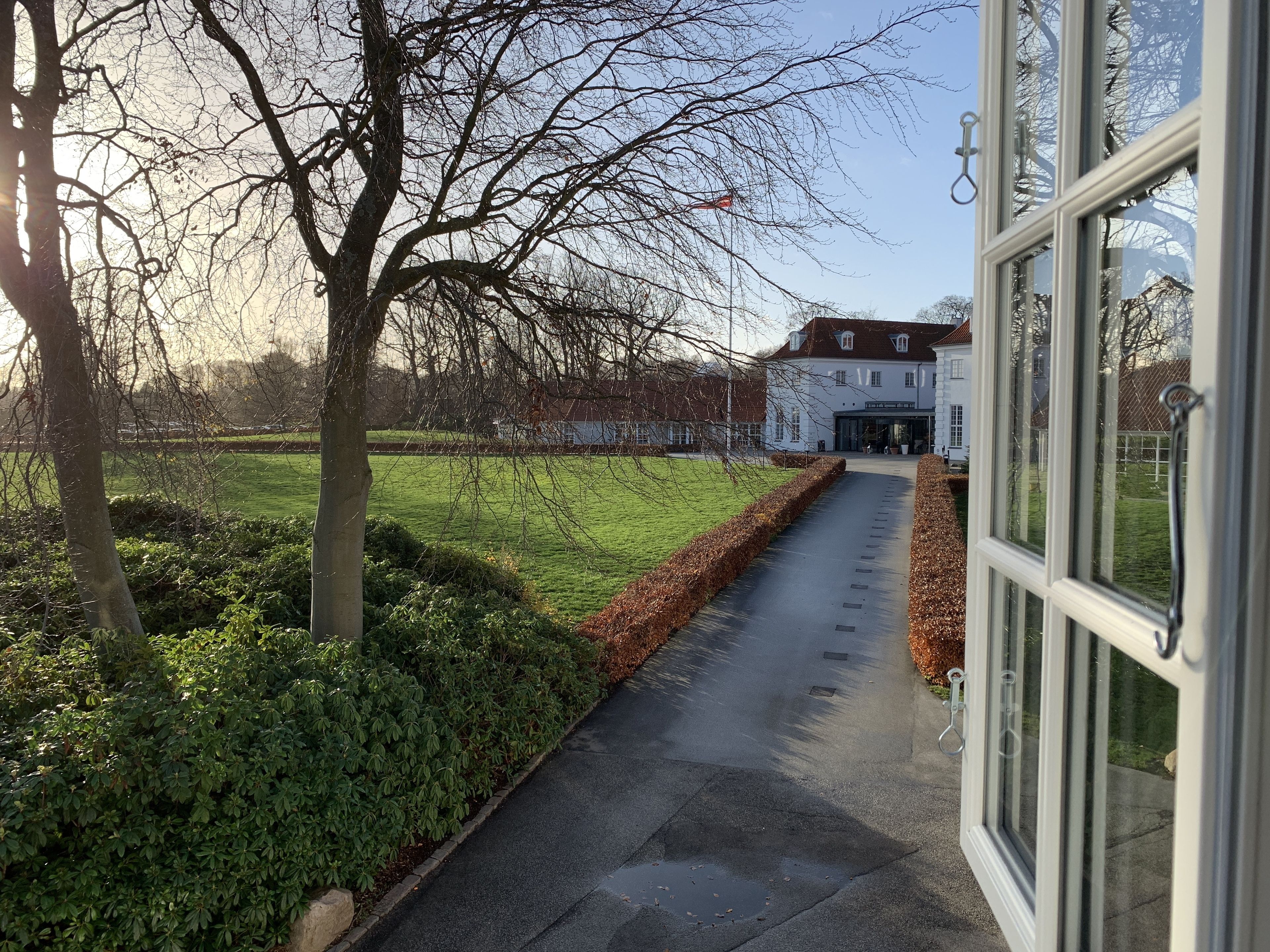 comfort suite | garden view