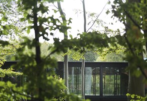 Un edificio moderno con amplios ventanales y un balcón, rodeado de abundante vegetación.