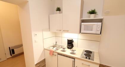 Apartment Barichgasse