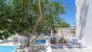 Zona junto a la piscina con un muro blanco, un sofá con cojines y un árbol que da sombra.