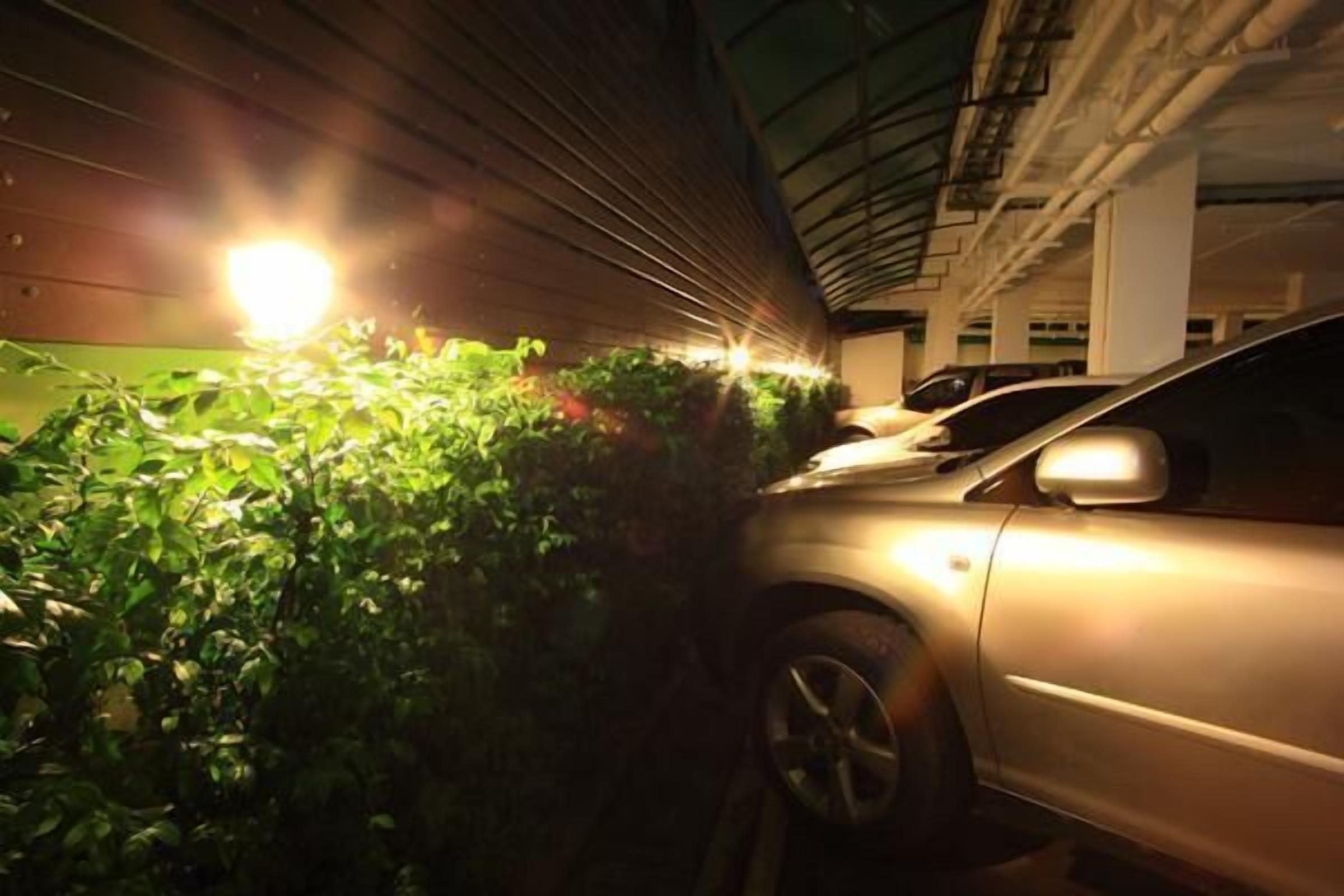 Foto - Pattara Place