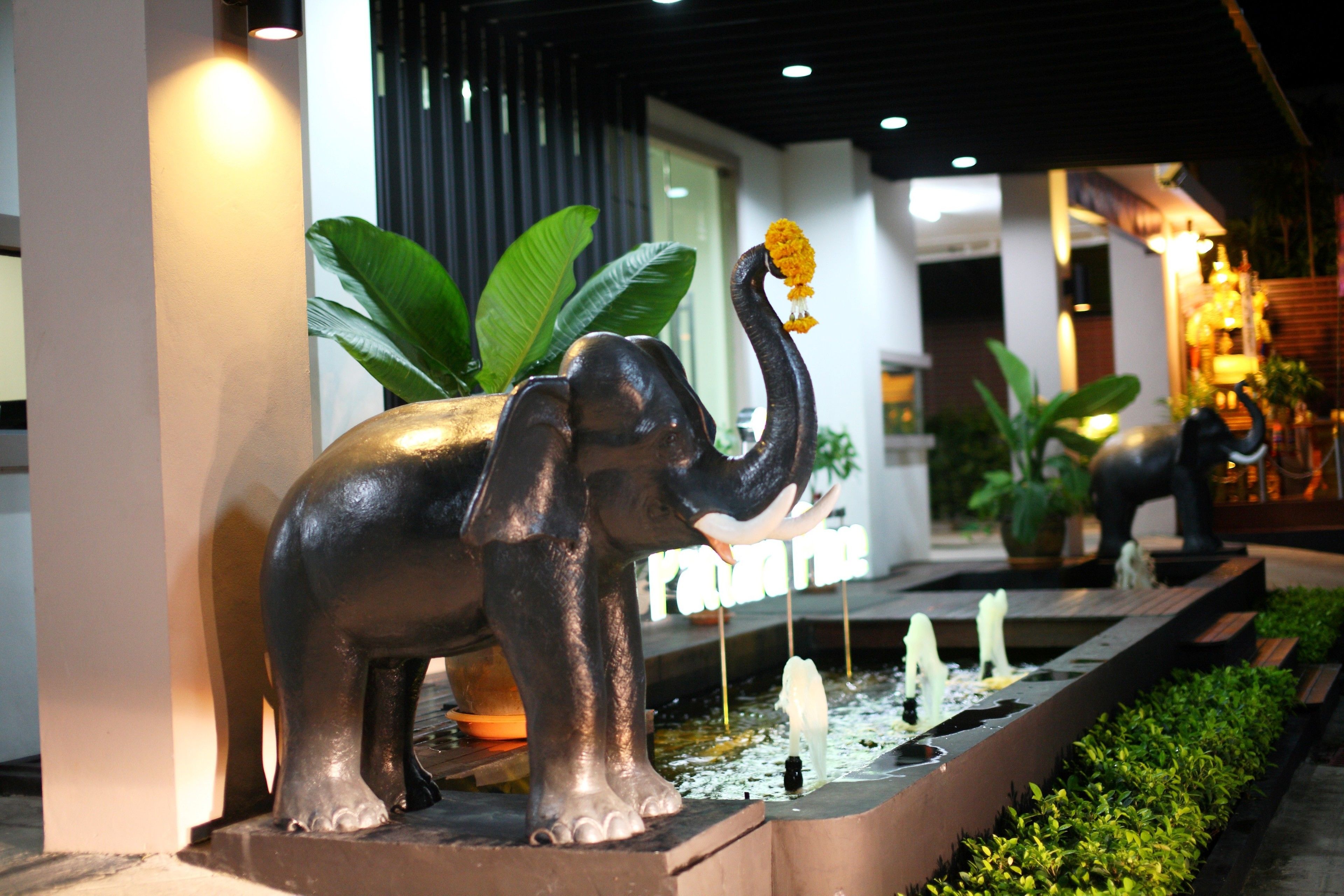 Foto - Pattara Place