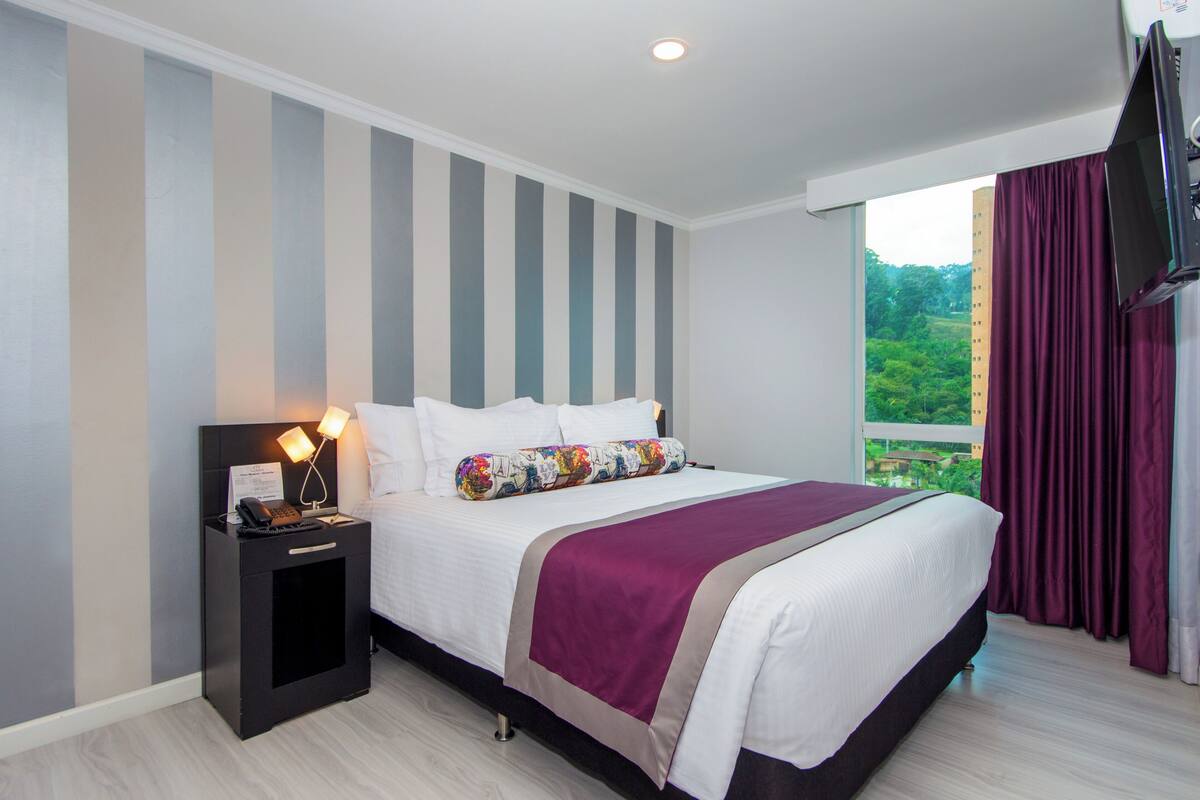 A hotel room with a large bed, a nightstand with a phone, a window with curtains, and a TV mounted on the wall.