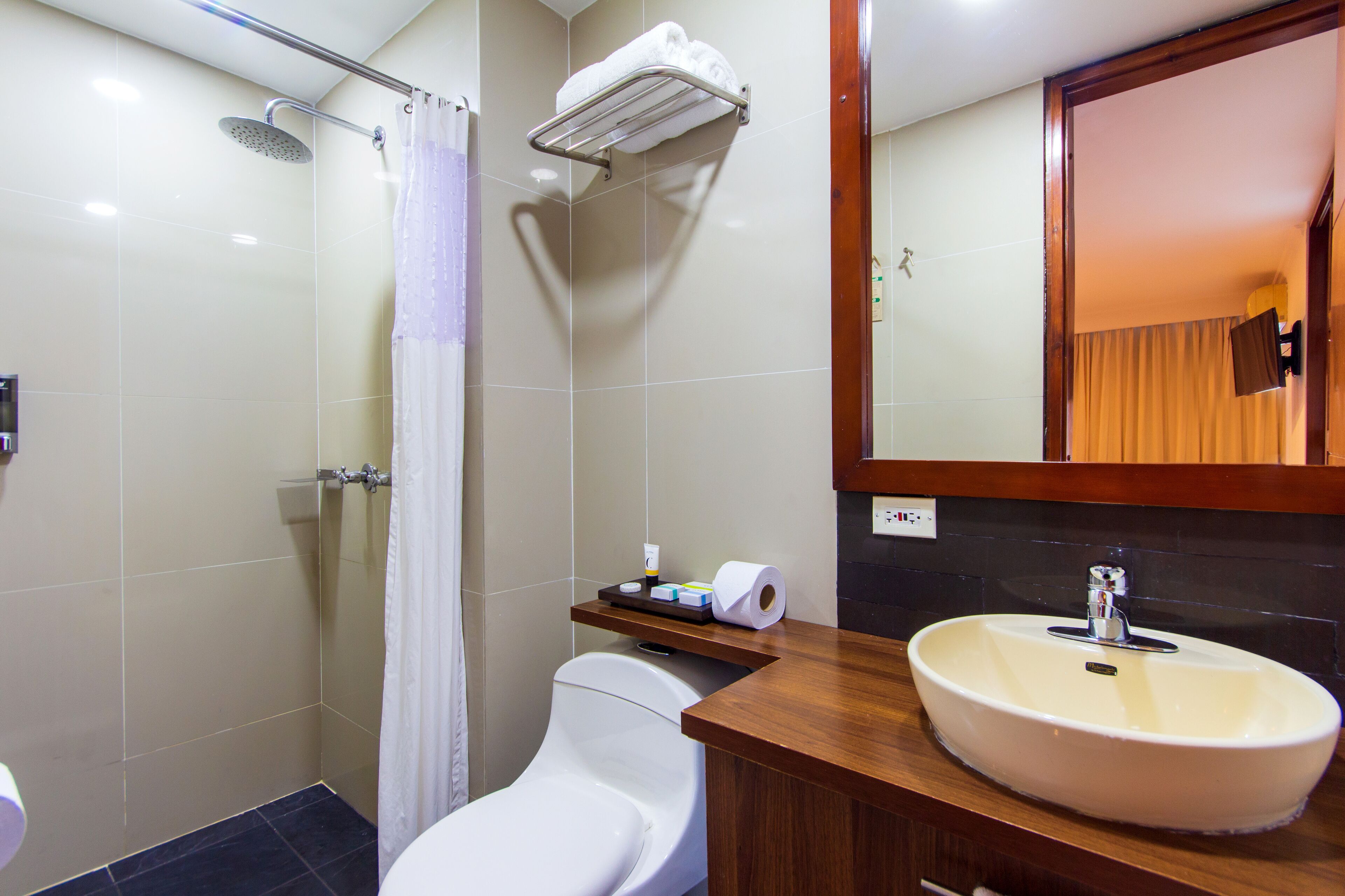 shower, free toiletries, hair dryer, towels