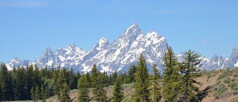 A mountain range with snow-capped peaks and a forested shoreline.