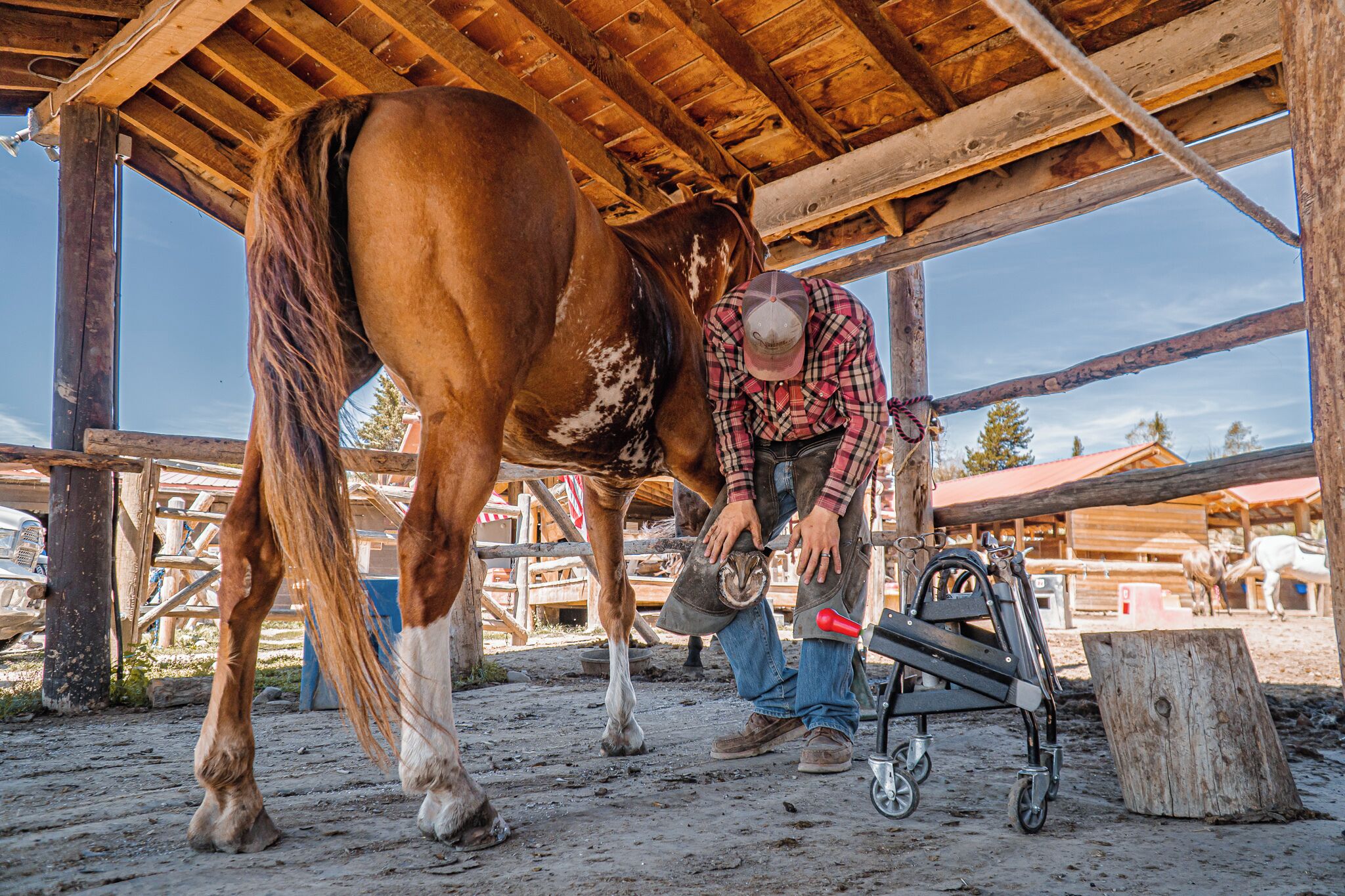 A stable with a horse and a person grooming it.