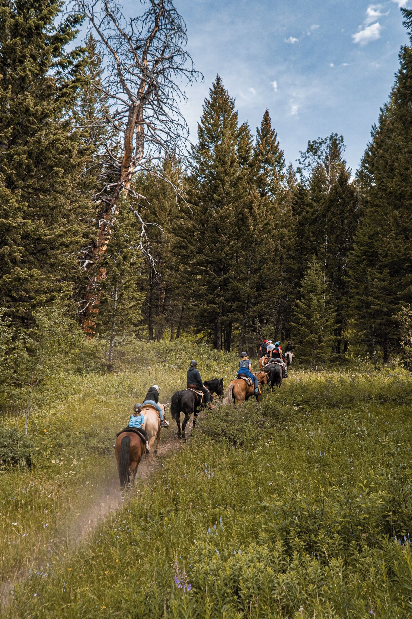 Un grupo de personas cabalgando por un sendero en el bosque.