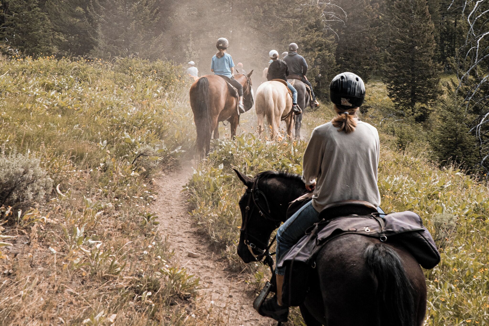A group of people riding horses on a dirt path surrounded by tall grass and trees.