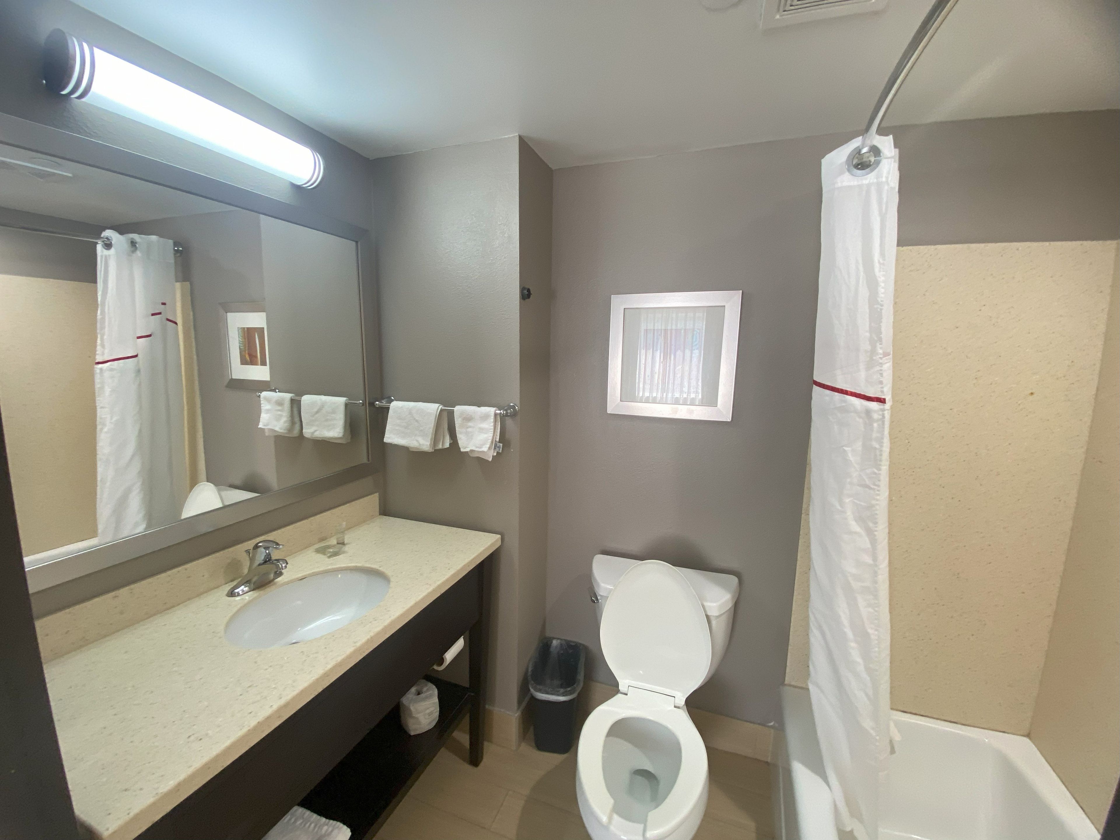 A bathroom with a sink, mirror, toilet, and shower curtain.