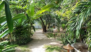 Standard Room, Garden View | View from room