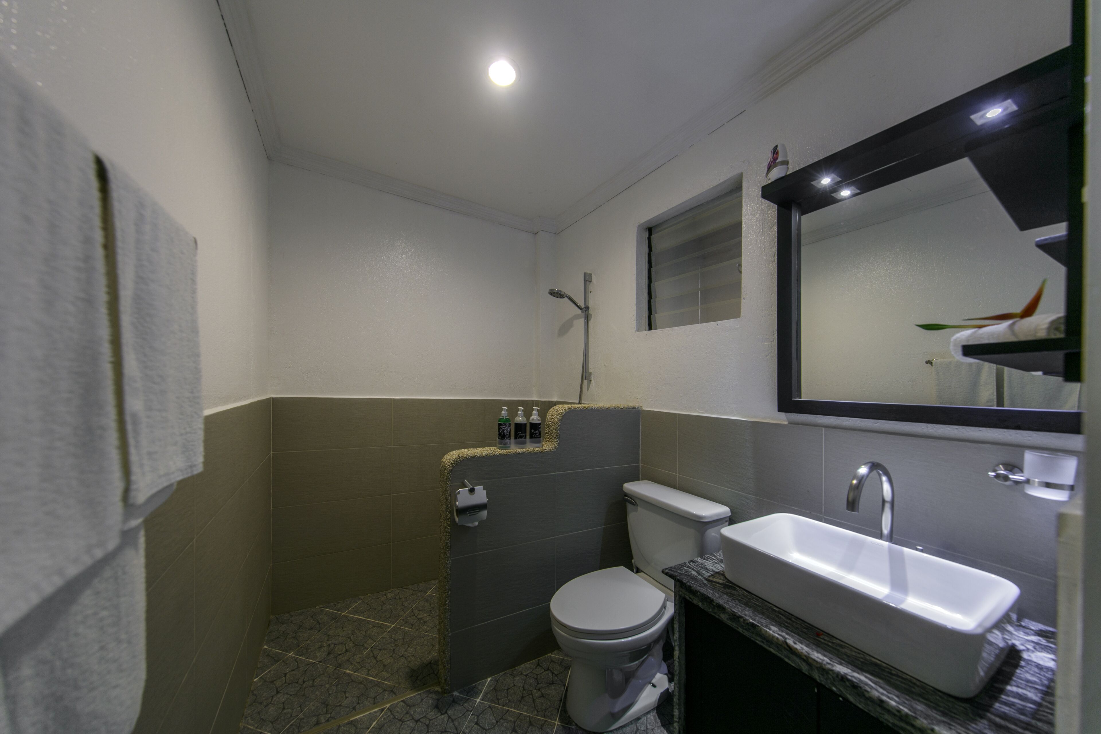 deluxe room, sea view | bathroom | shower, free toiletries, hair dryer, bathrobes