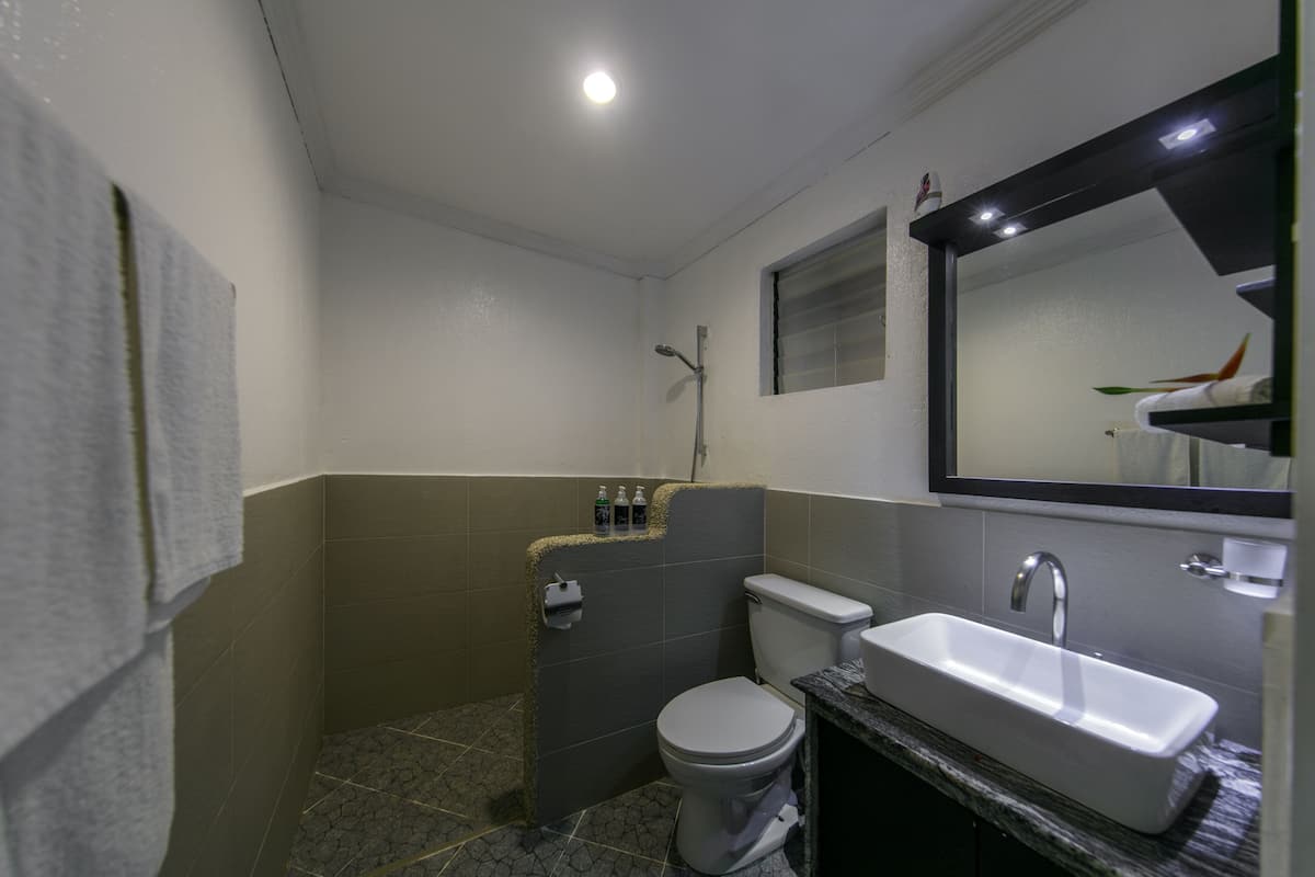 deluxe room, sea view | bathroom | shower, free toiletries, hair dryer, bathrobes