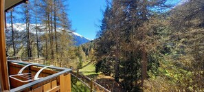 Apartment, Private Bathroom, Mountain View | View from property