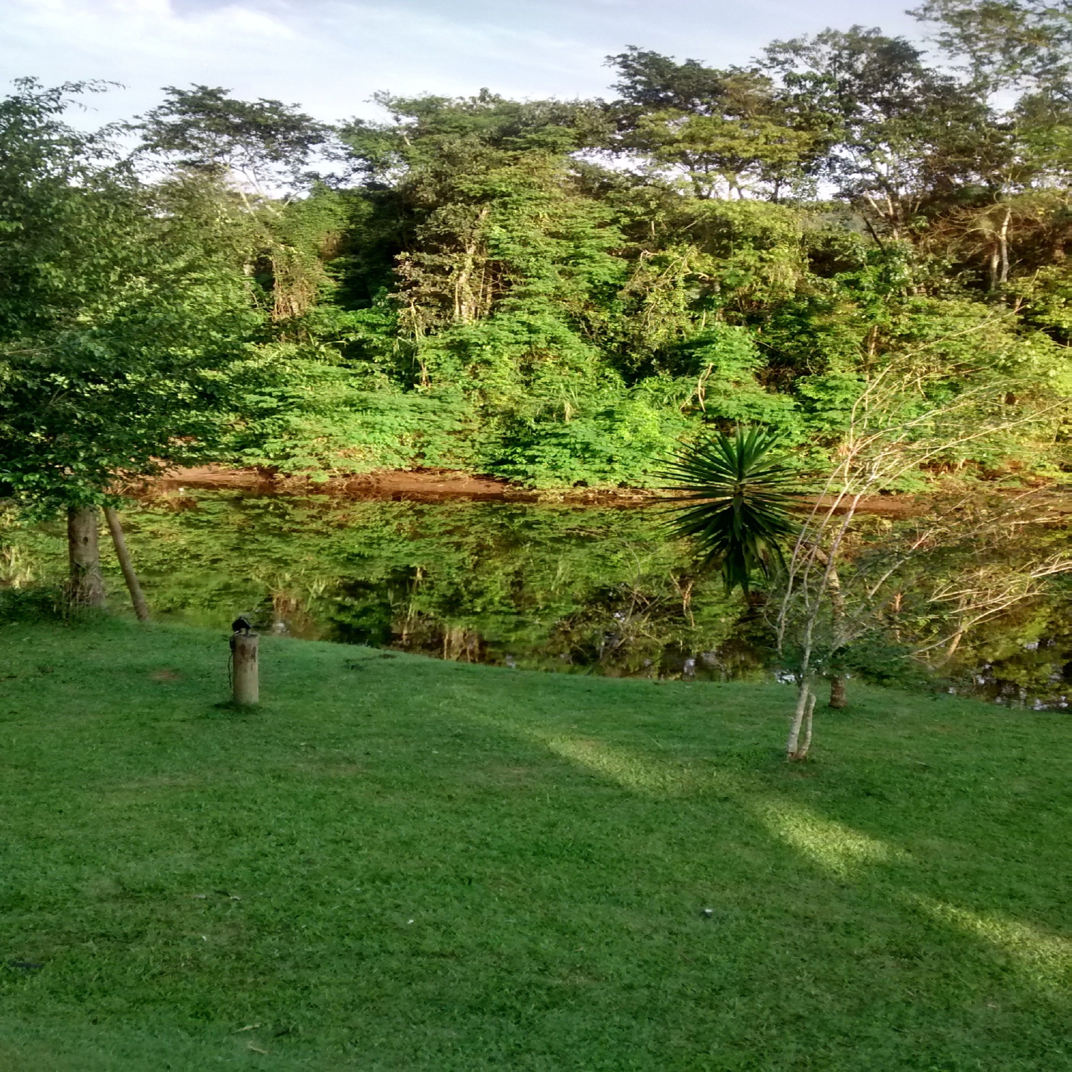 Photo - Pousada Magia Verde