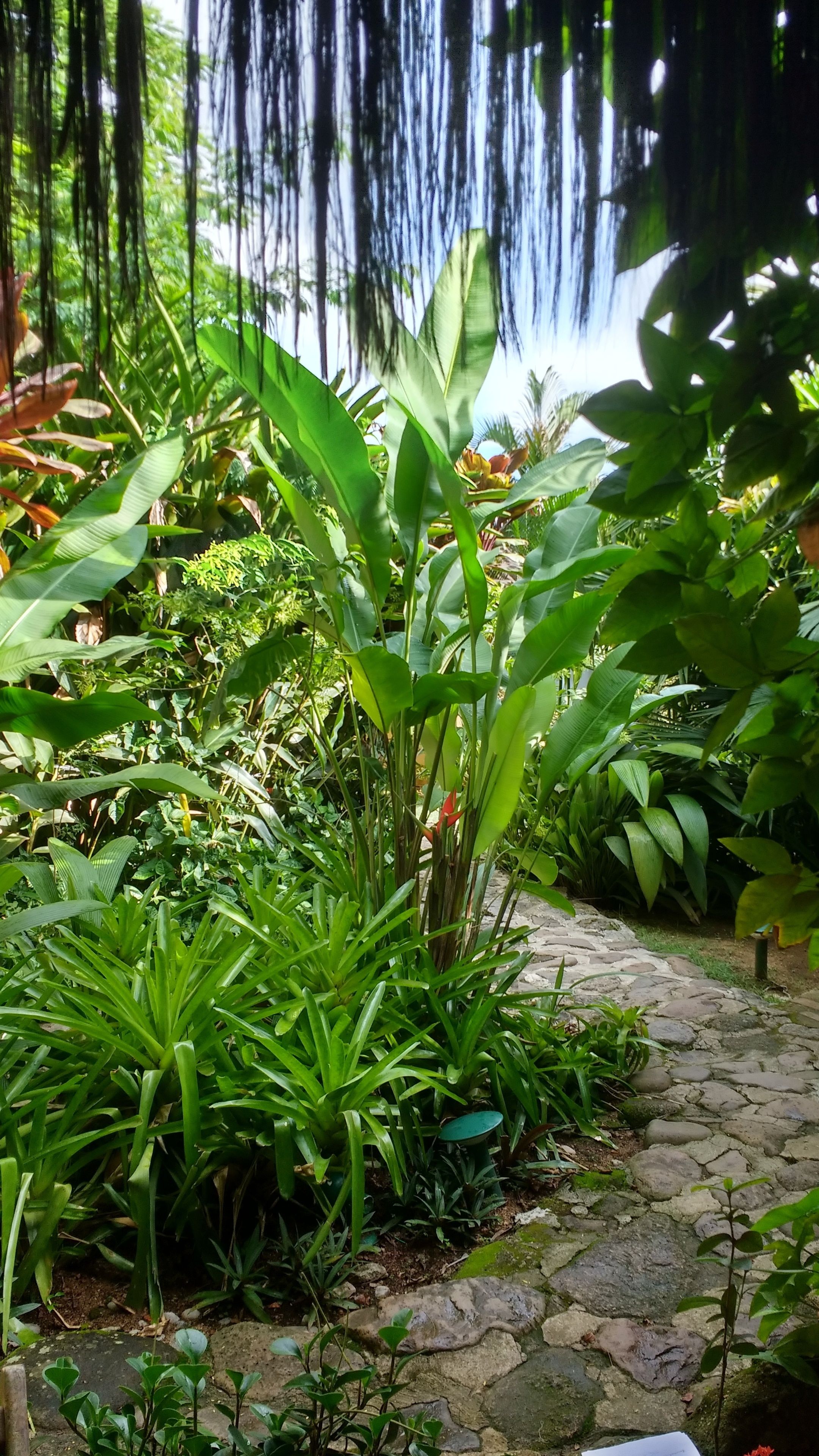 Photo - Pousada Magia Verde