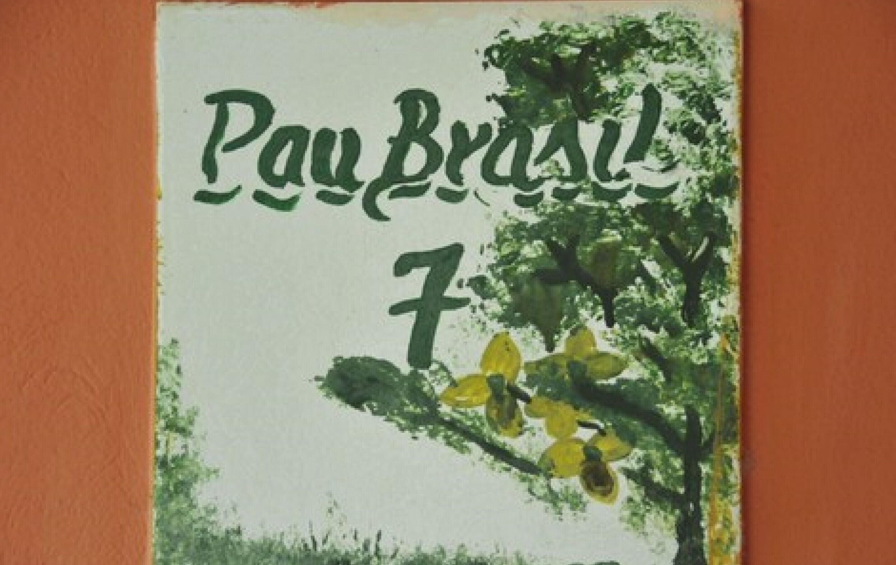 Photo - Pousada Magia Verde