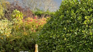 Een ronde tafel met champagne en twee glazen, omringd door groen en uitzicht op een meer.