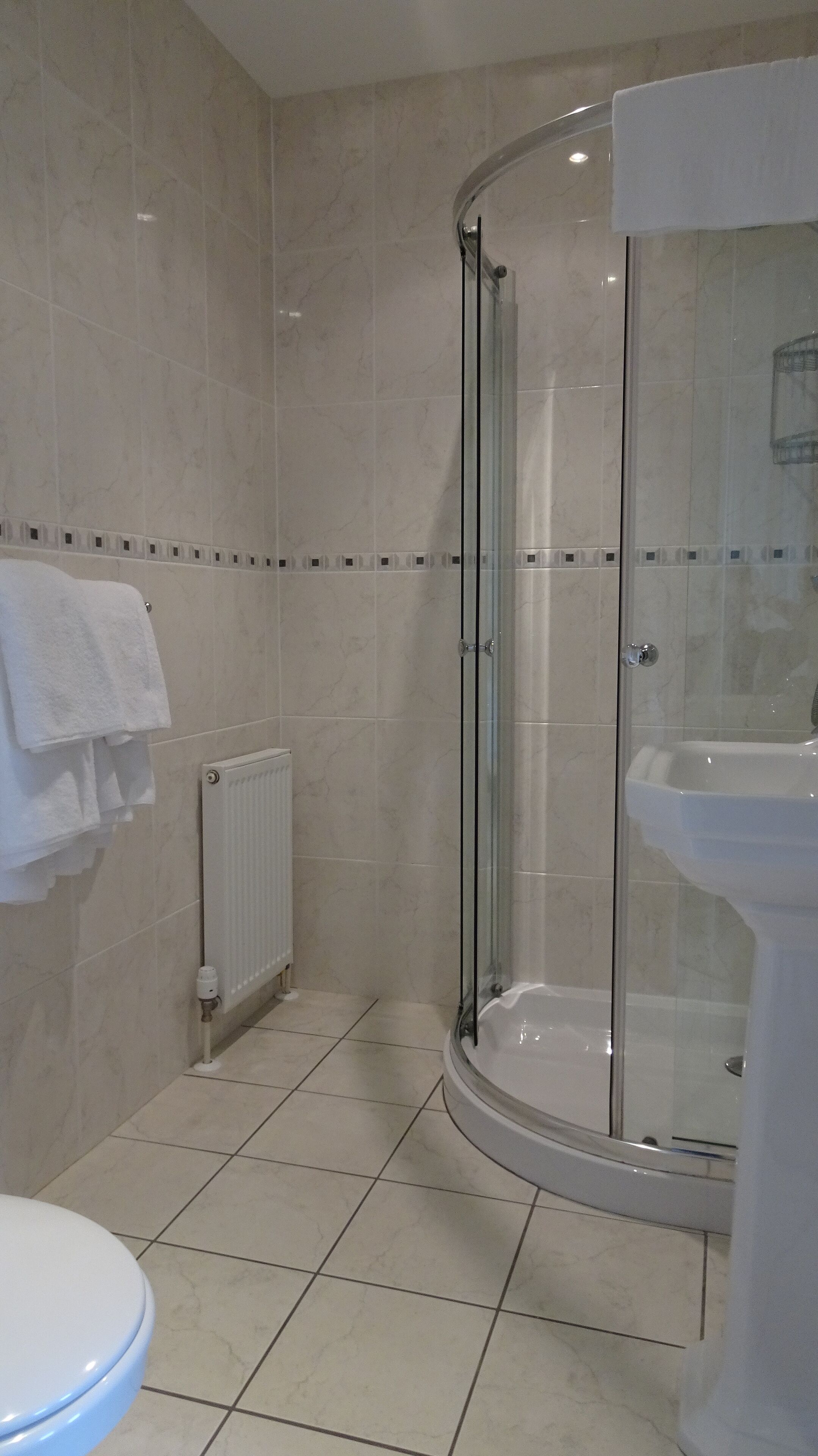 A modern bathroom with a glass-enclosed shower, a white sink, and a toilet.