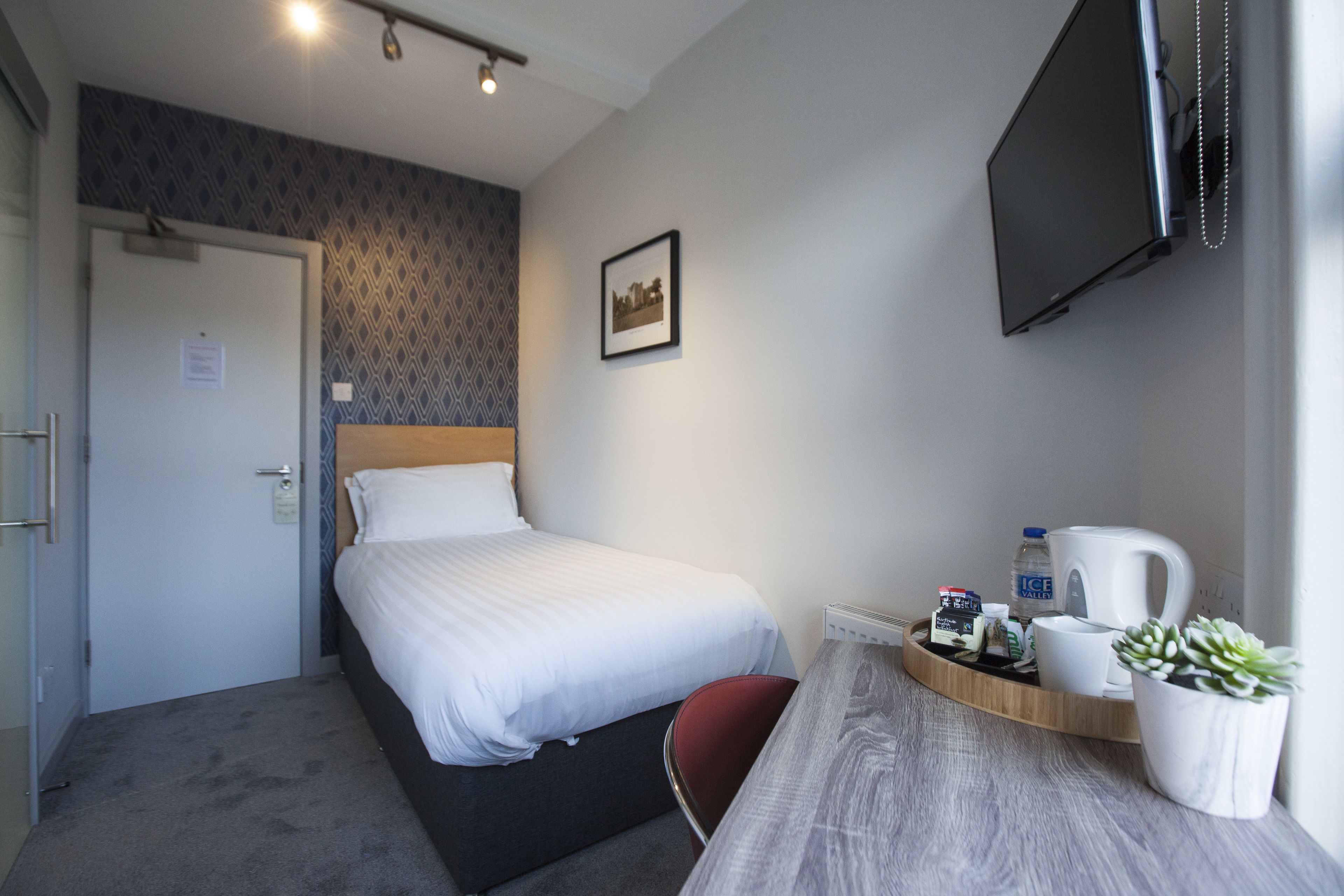 A hotel room with a bed, a desk with a coffee maker, a plant, and a TV on the wall.