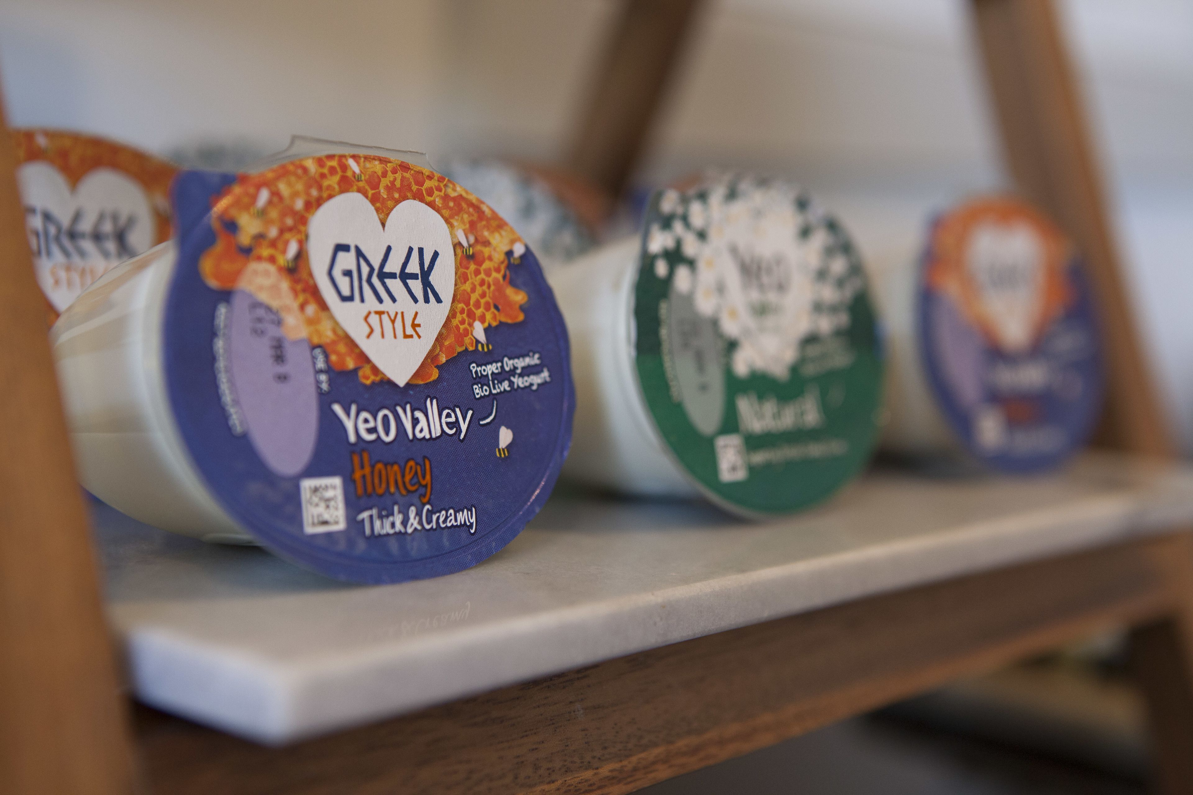 Varias tarrinas de yogur griego en una estantería.