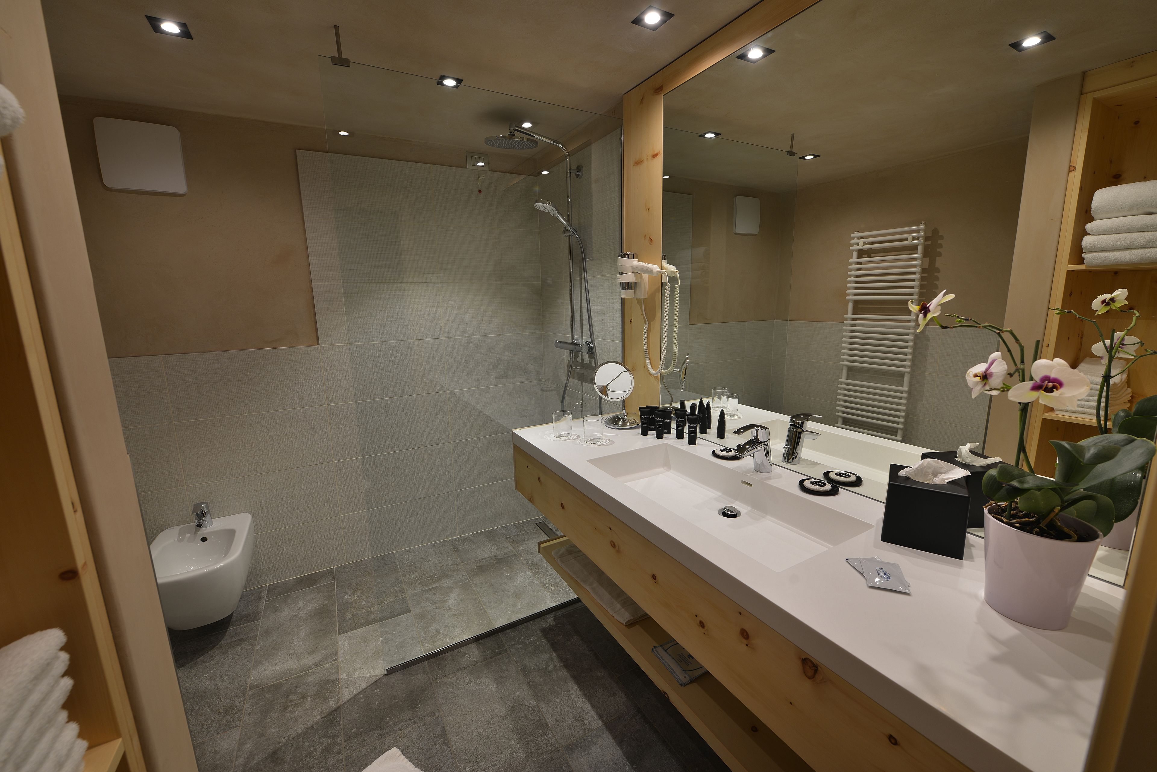 deluxe suite | bathroom | shower, free toiletries, hair dryer, bathrobes