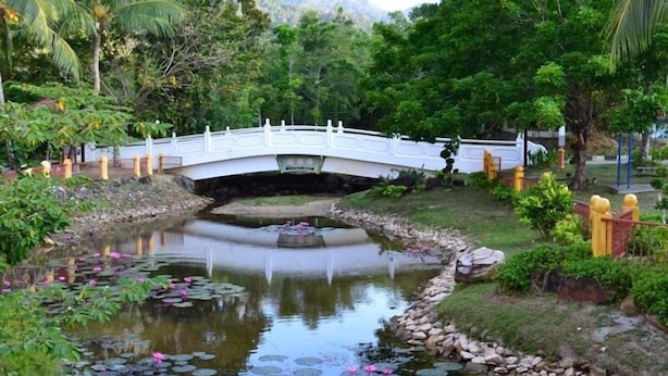 A white bridge over a pond with lily pads and rocks. - GeoPark Hotel (Langkawi)