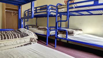 A bunk bed room with blue metal railings, wooden wardrobe, and a red carpet.