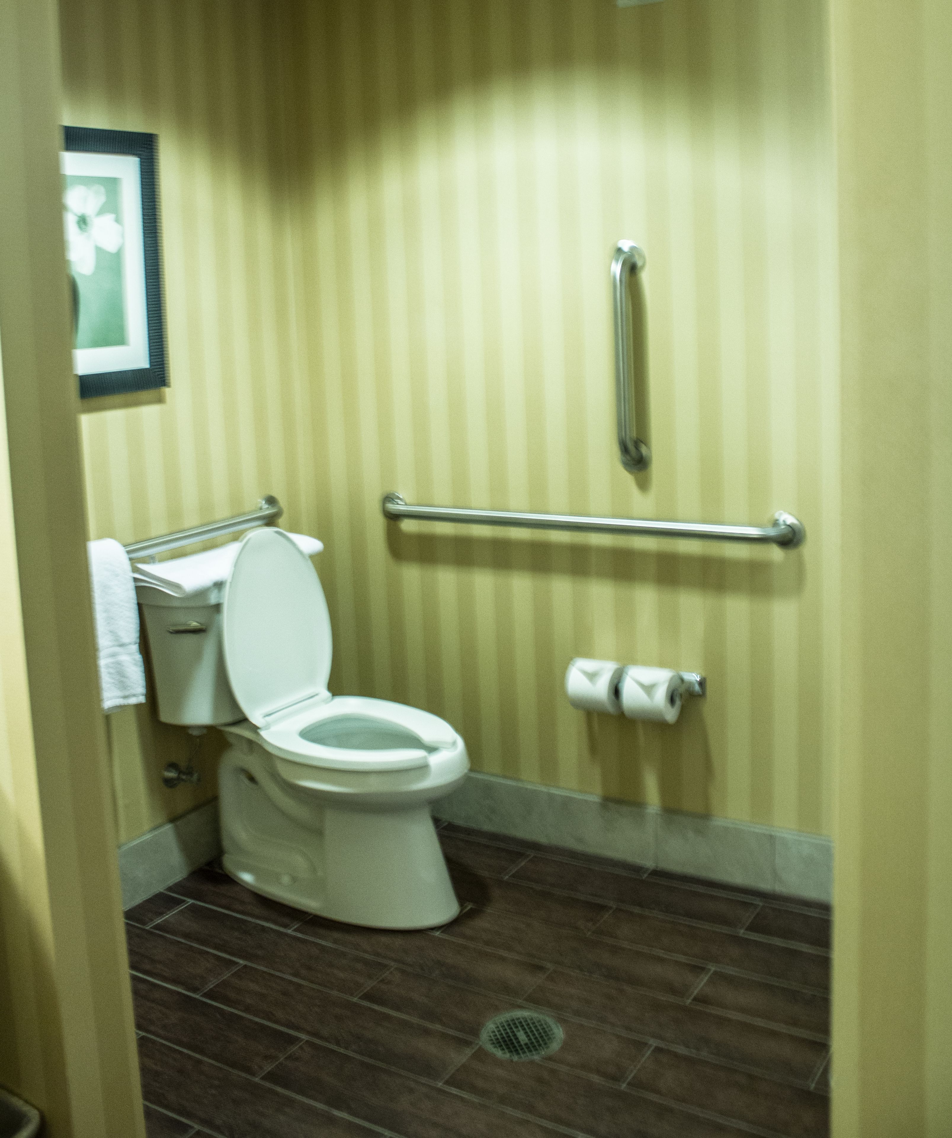 Une salle de bain équipée de toilettes, d’une barre d’appui et d’un porte-rouleau de papier toilette.