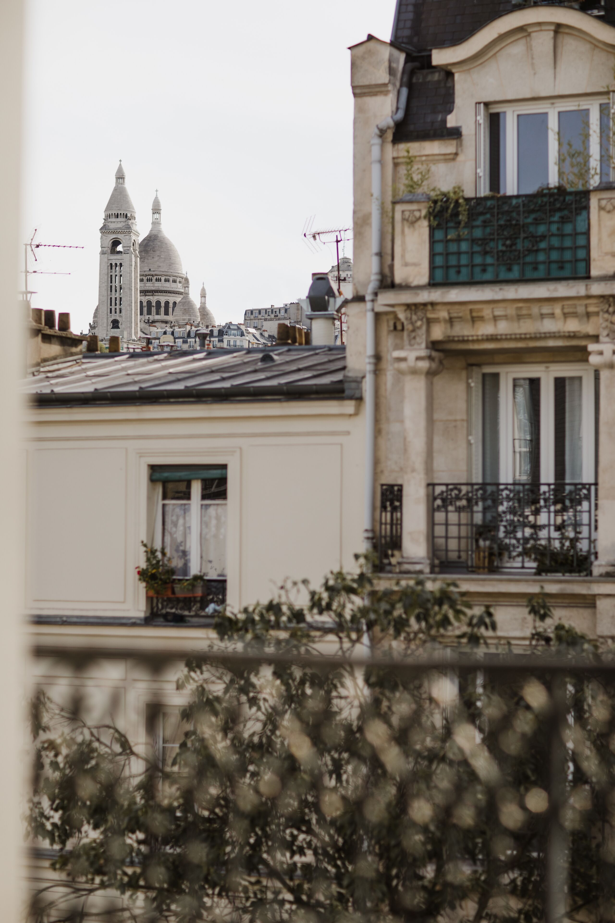 Foto - Prince Albert Montmartre