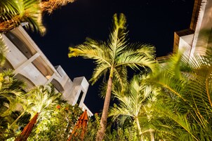 Útsýni frá gististað