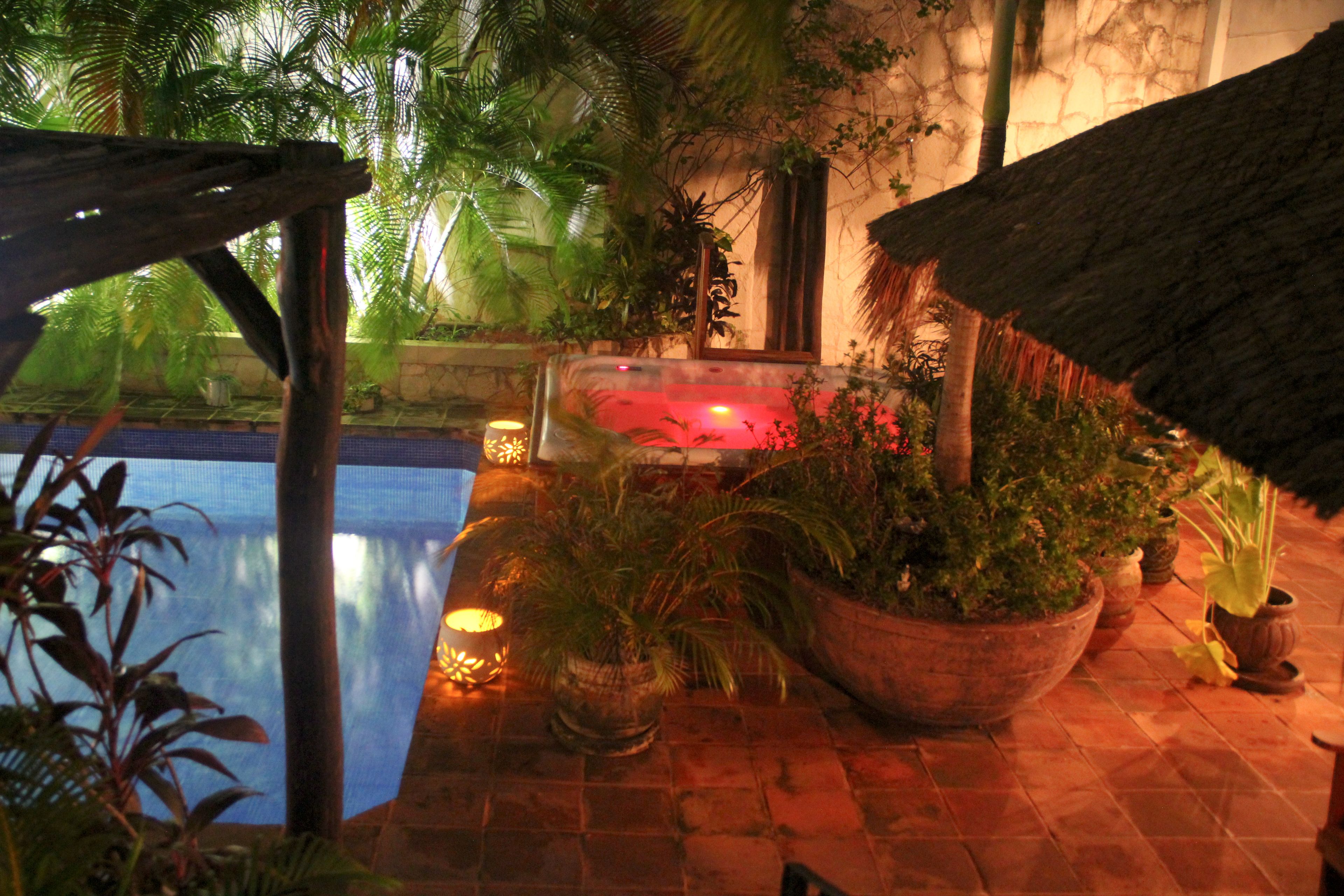 An indoor pool area with a thatched roof, potted plants, and a tiled floor.