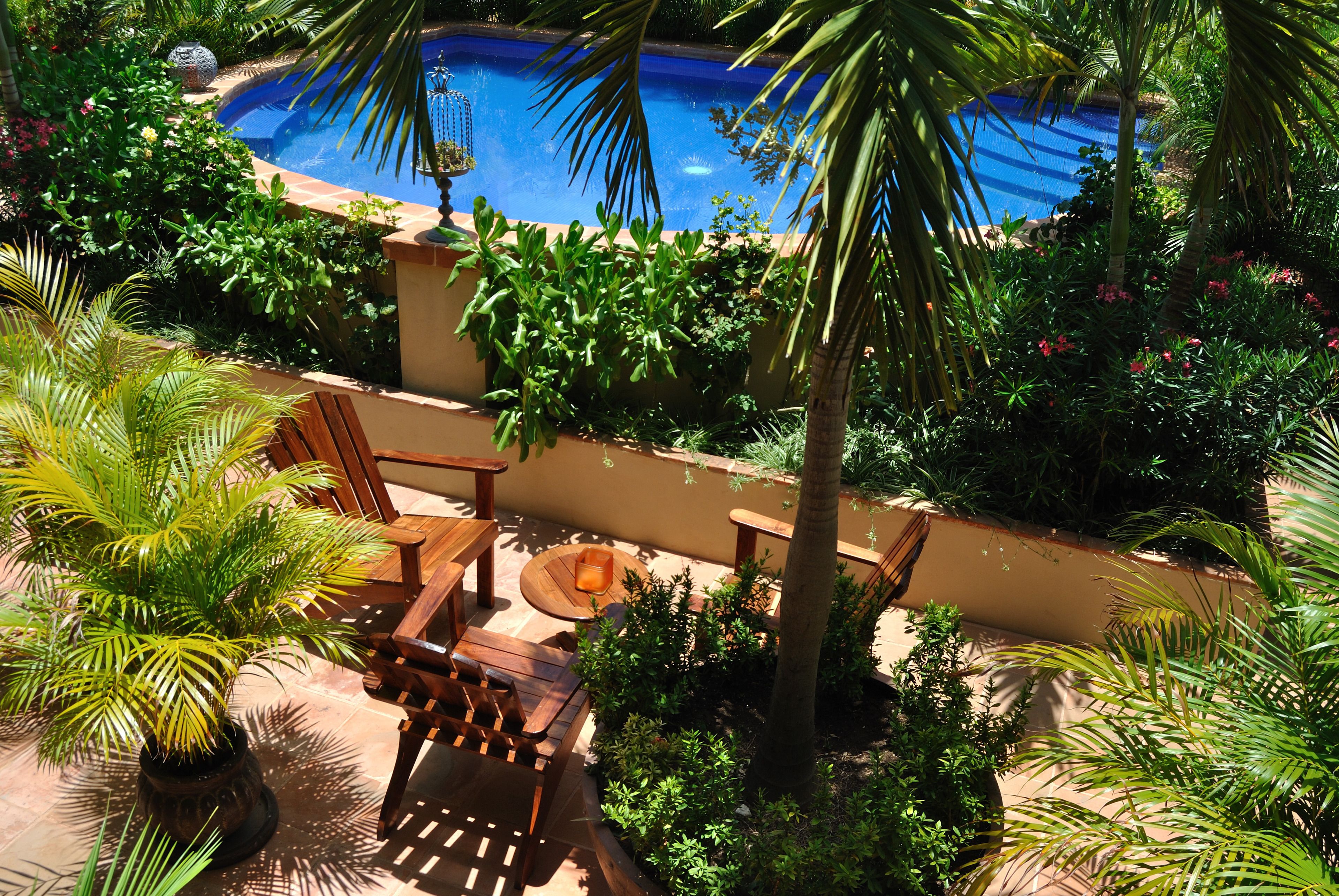A pool surrounded by lush greenery, wooden furniture, and a stone wall.