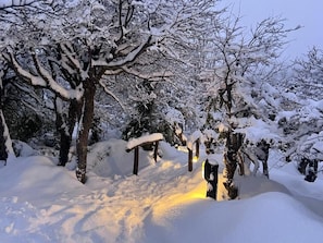 A snow-covered landscape with a pathway leading through trees, illuminated by a warm light source. - Los Ñires Lodge (San Carlos de Bariloche)