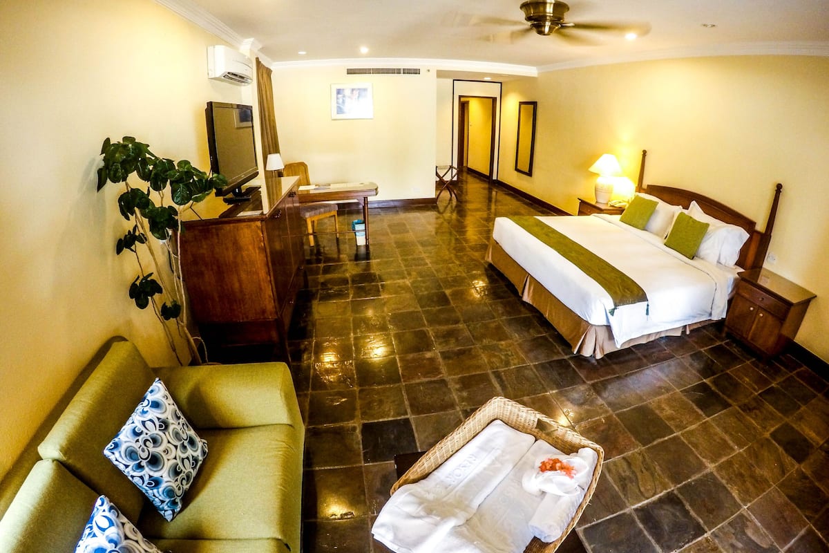 A hotel room with a bed, a sofa, a desk, a chair, a TV, a plant, and a bathroom.