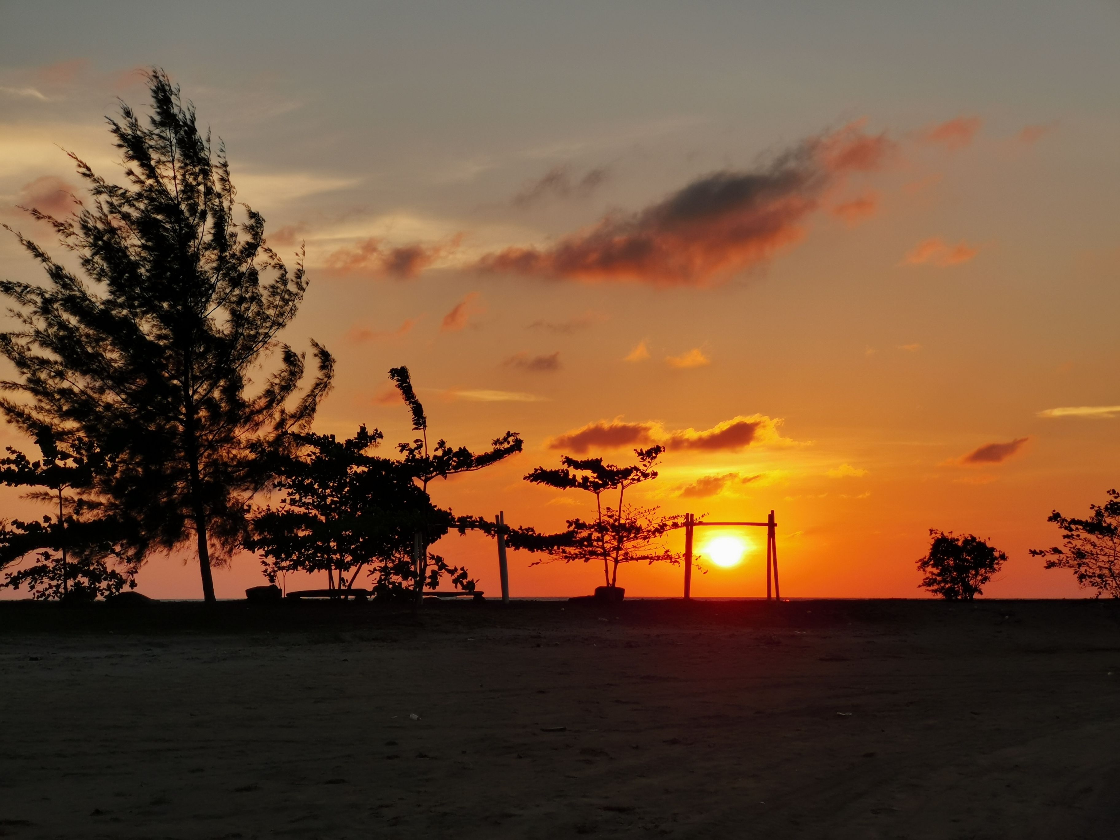 Atardecer sobre una playa con árboles y un columpio.