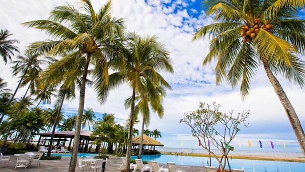 A resort pool area with palm trees, lounge chairs, and a view of the ocean.