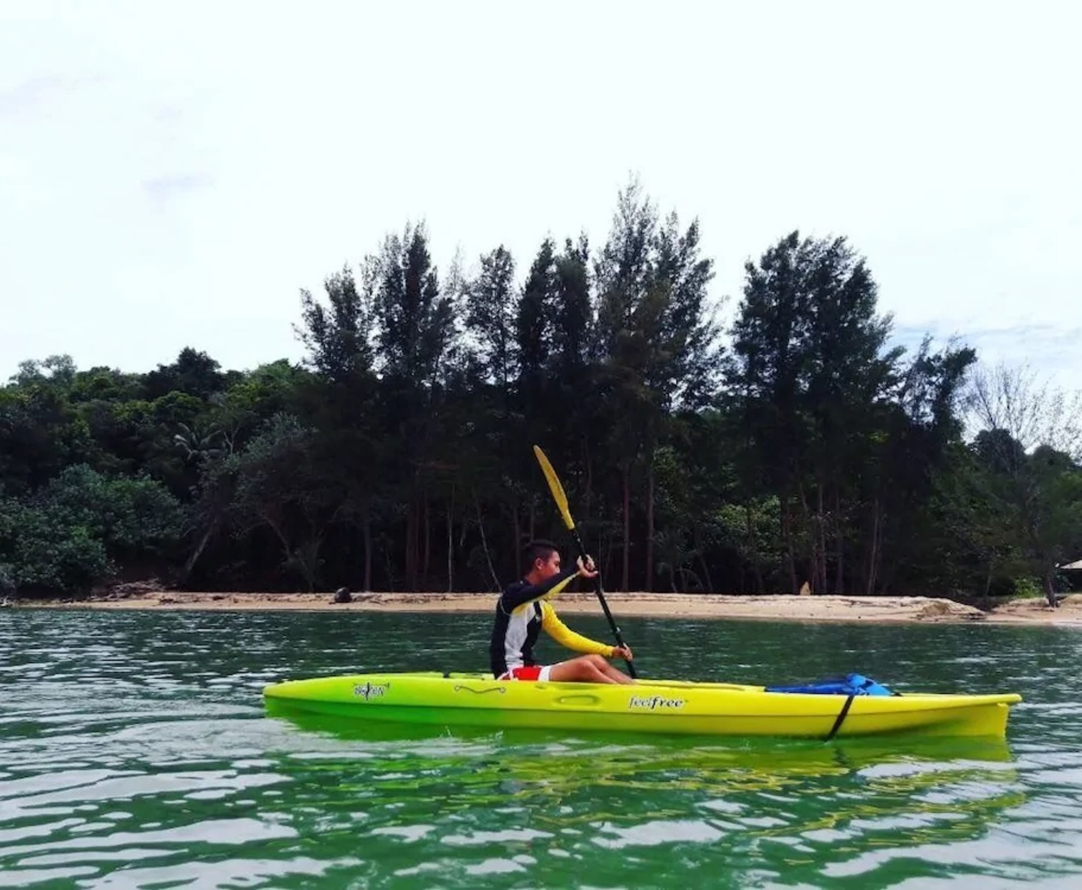 A person kayaking on a green kayak with a yellow paddle, surrounded by water and a forested shoreline.