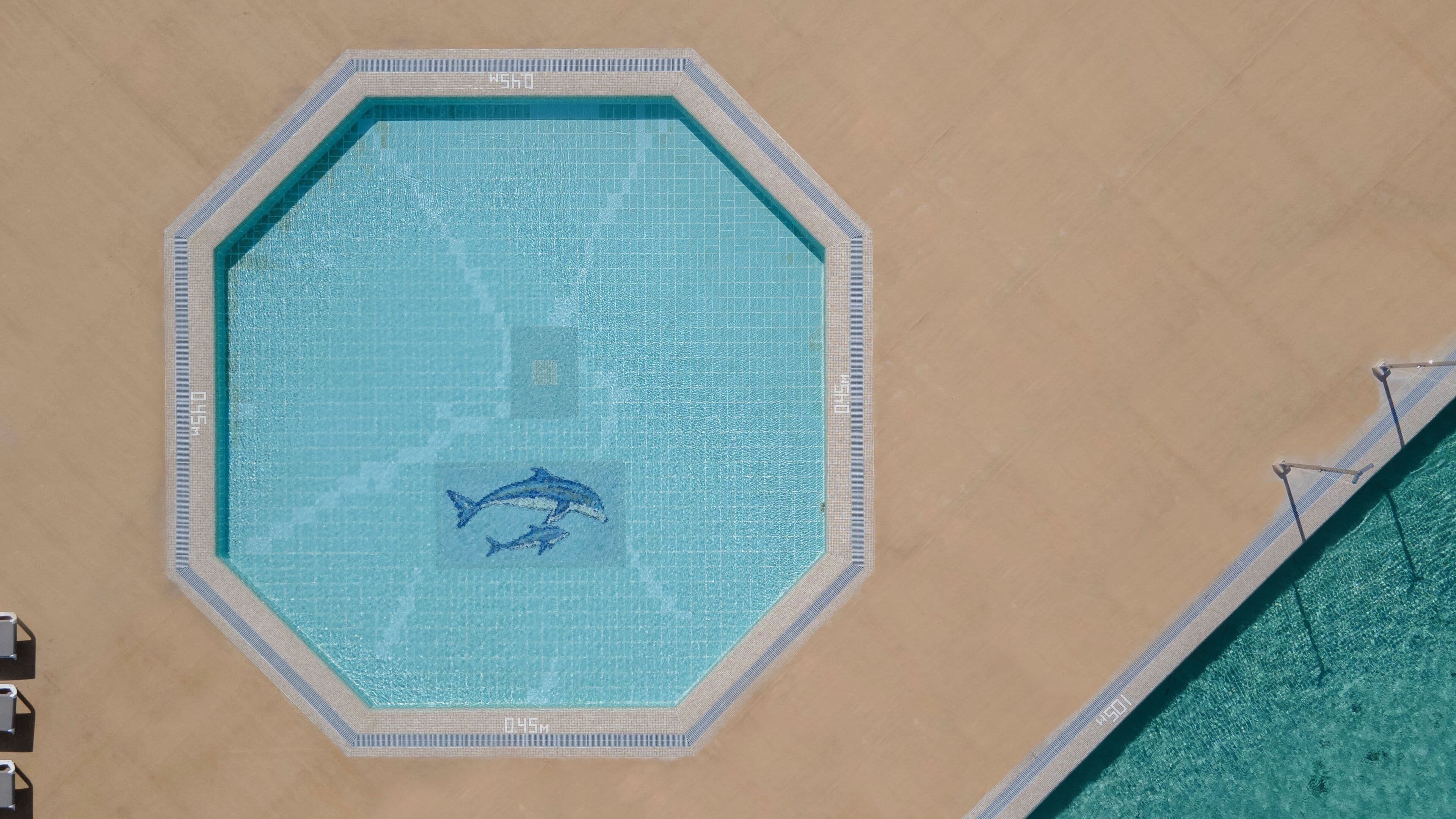 Une piscine octogonale bordée de carreaux et ornée d’une fresque représentant un dauphin.
