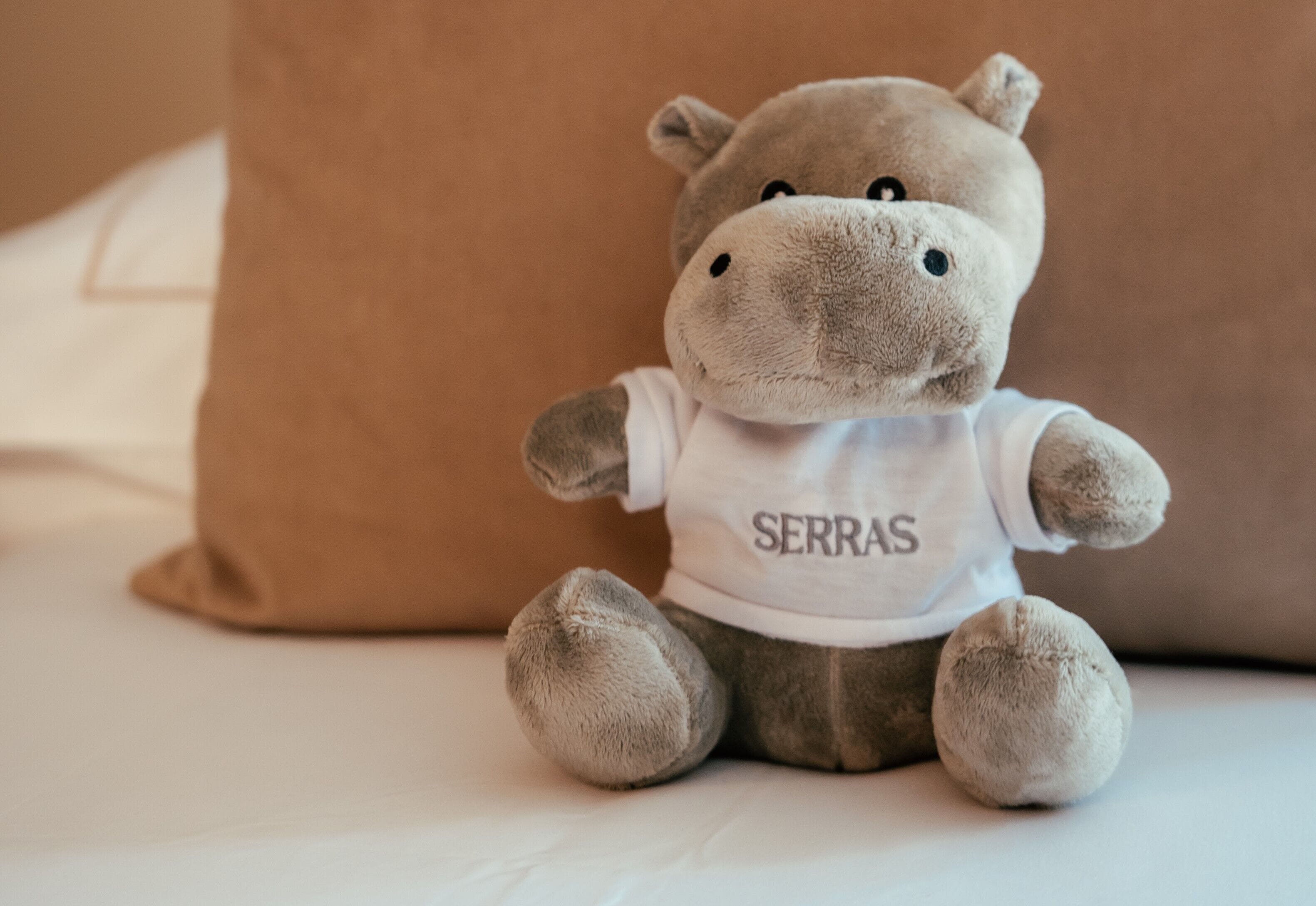 premium bedding, minibar, in-room safe, individually furnished