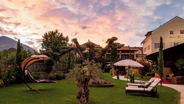 A hotel courtyard with a lounge area, a tree, and a garden. - Hotel Traube (Bressanone)
