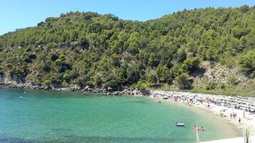 Site dâintĂ©rĂȘt