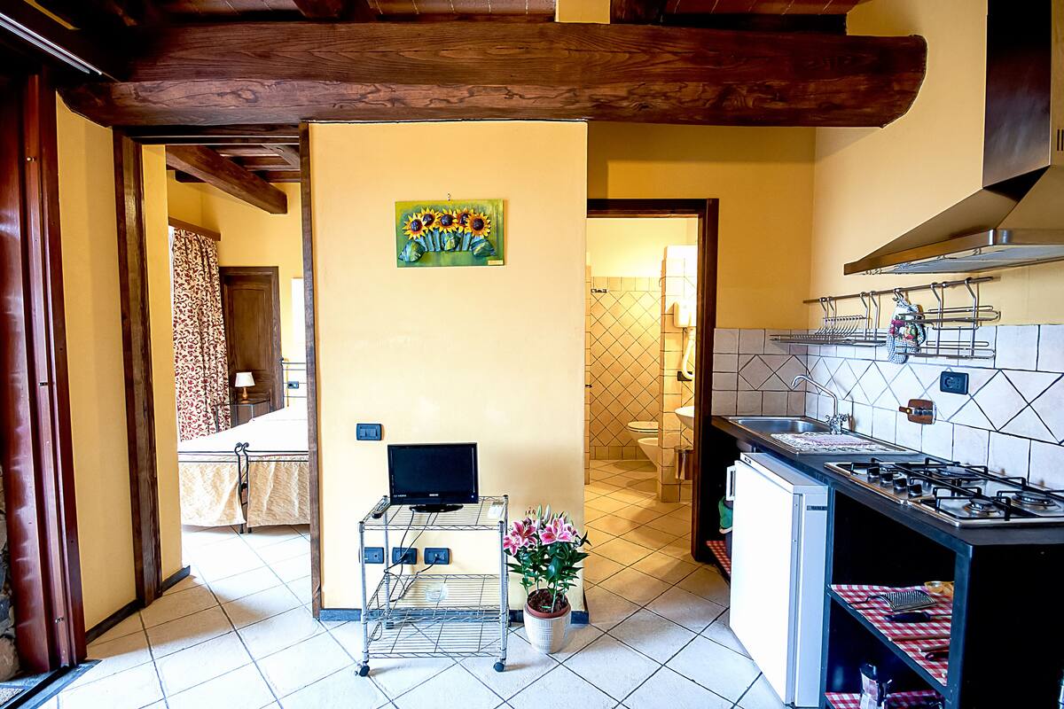 A compact kitchen with a stove, sink, and a small cart with a potted plant.