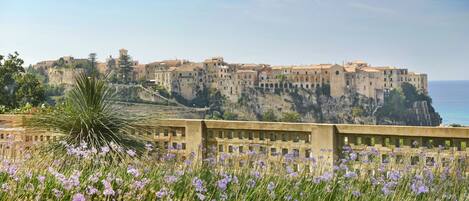 A coastal cityscape with historic buildings perched on a cliff overlooking the sea.