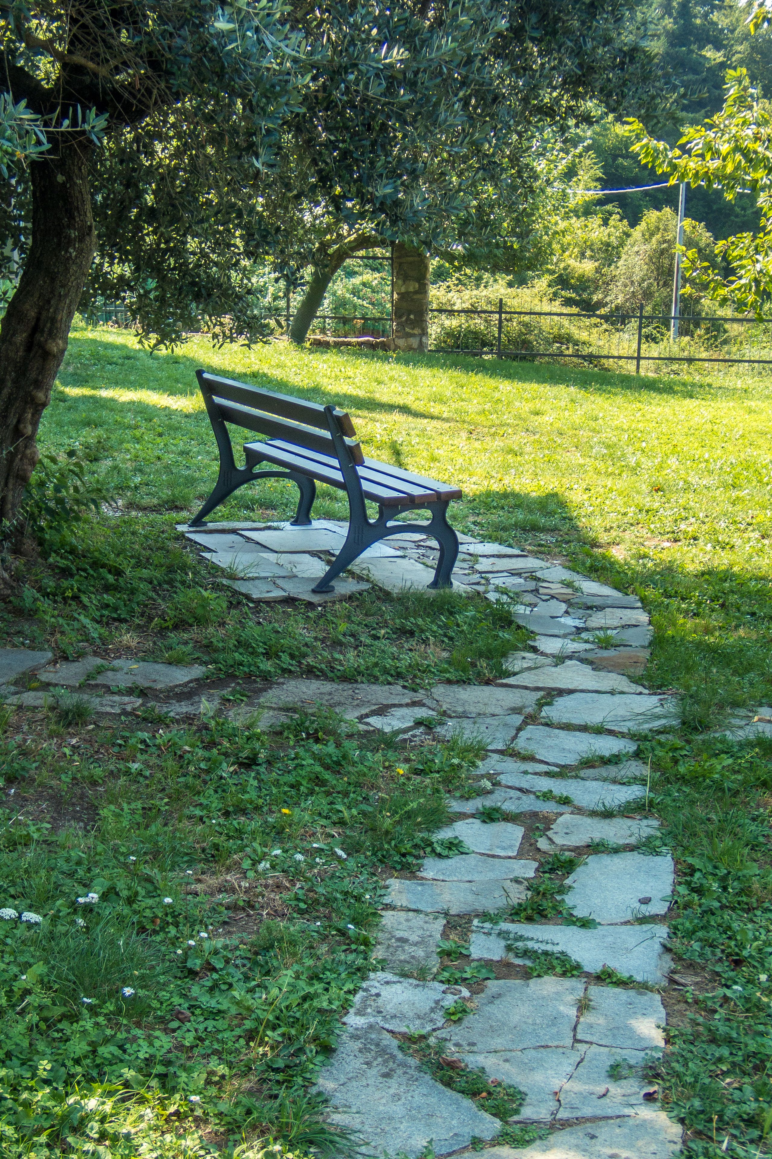 A stone pathway leading to a bench in a park.
