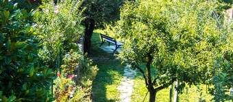 Oasi Verde