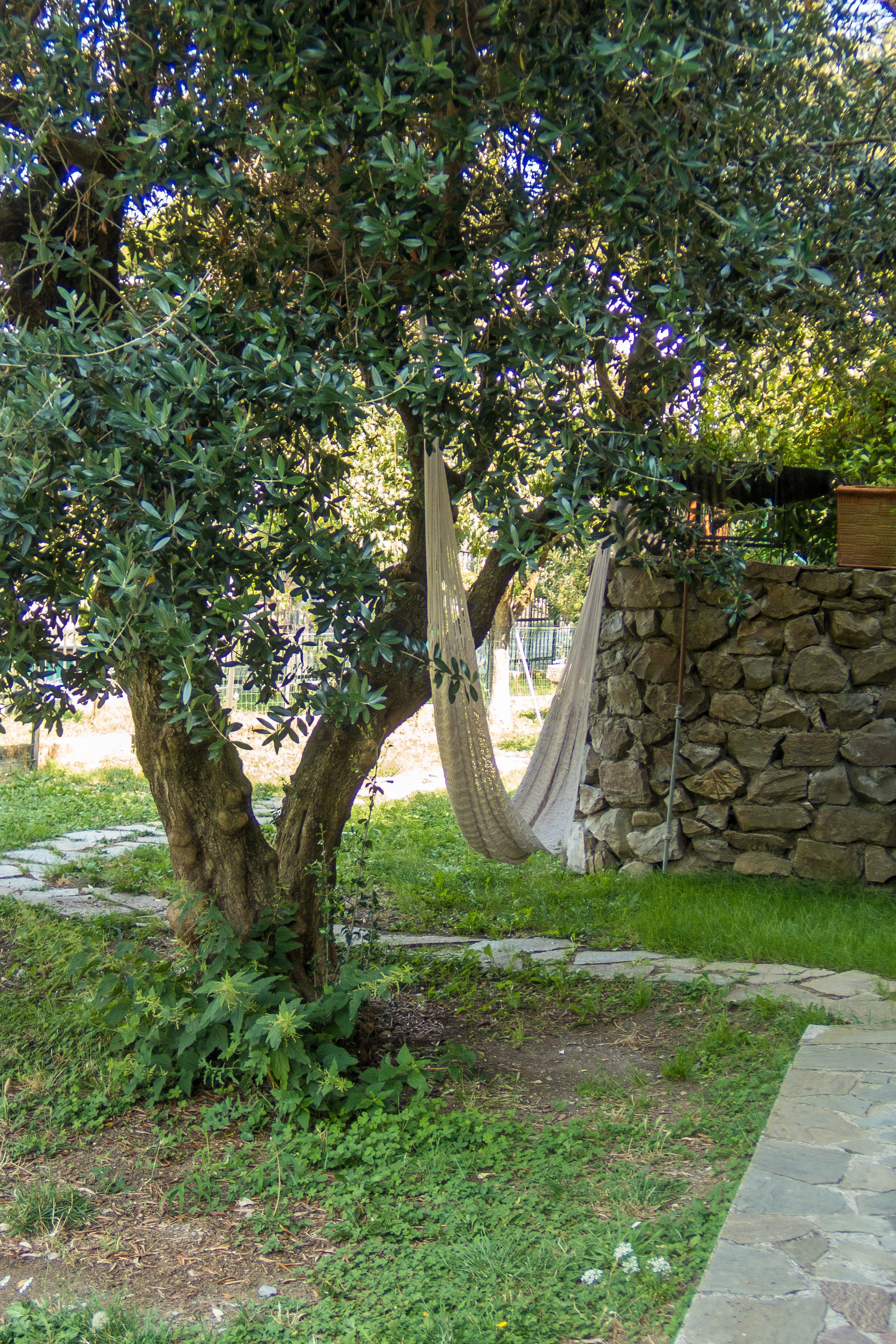 Una cadira de fil a un arbre en una zona de jardí amb un mur de pedra i un camí de pedra.