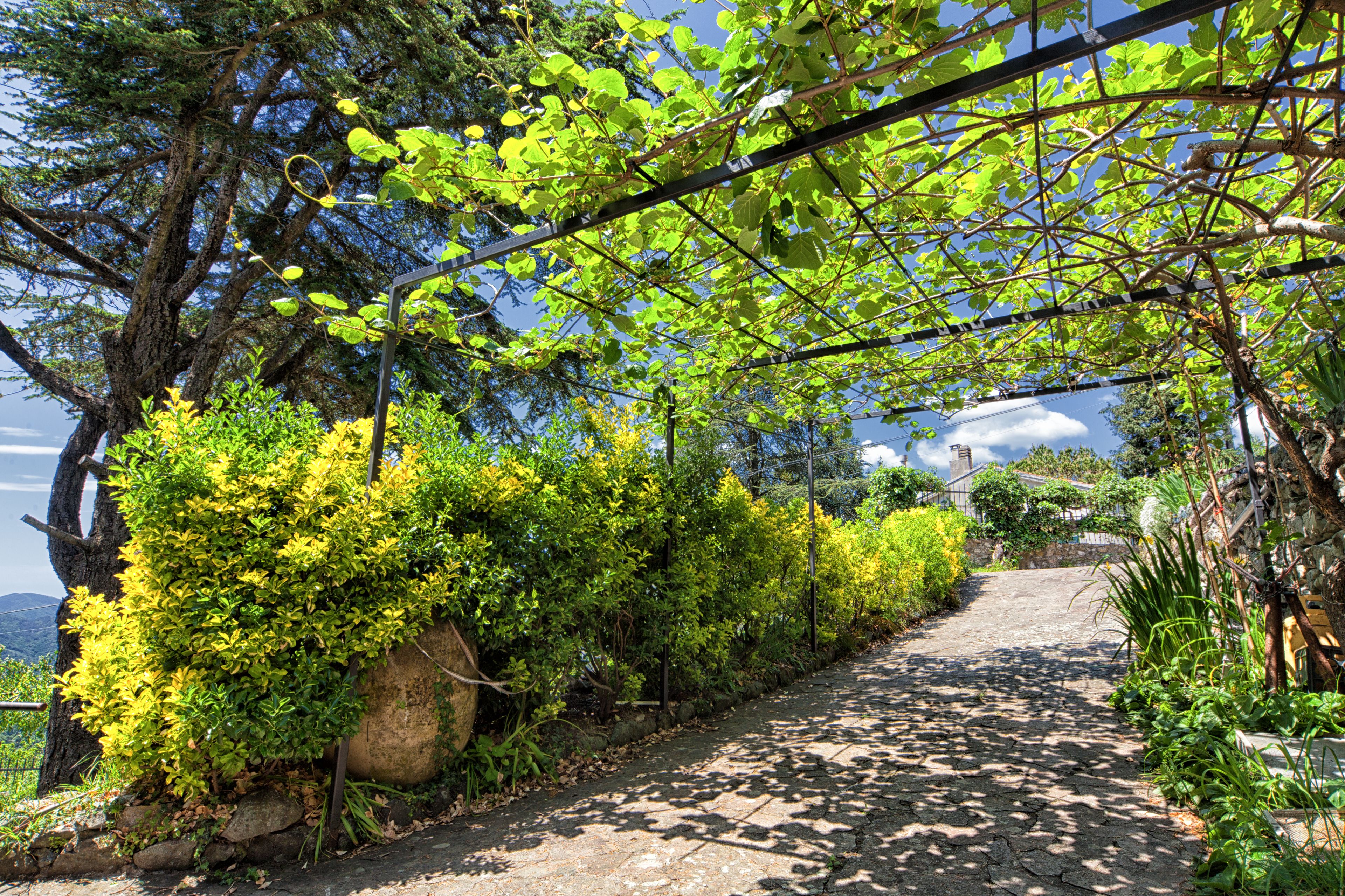 A stone pathway flanked by lush greenery and trees, leading towards a distant view.