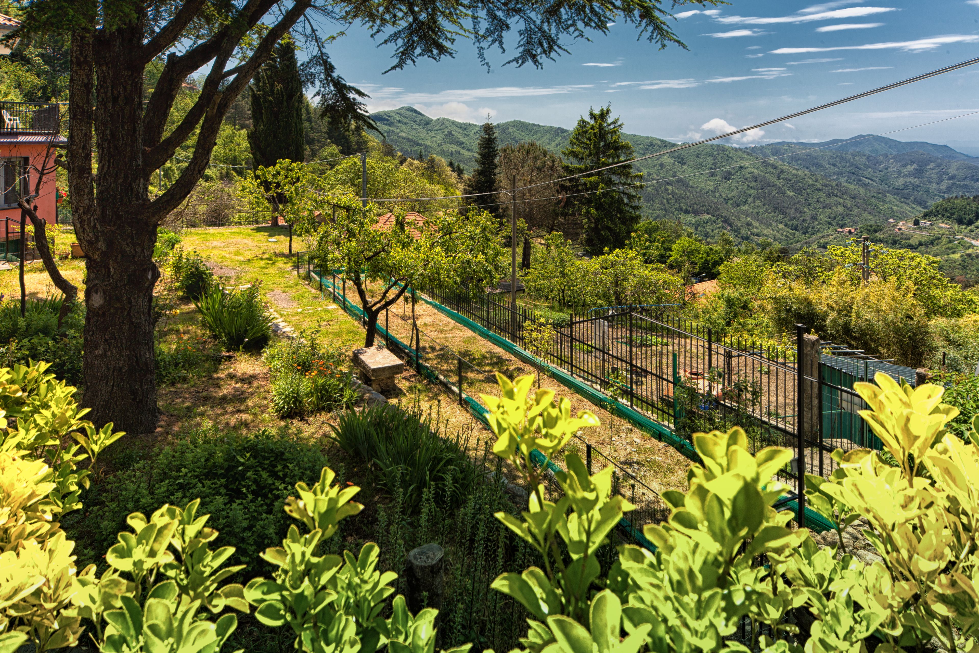 المنطقة المحيطة بالمنشأة